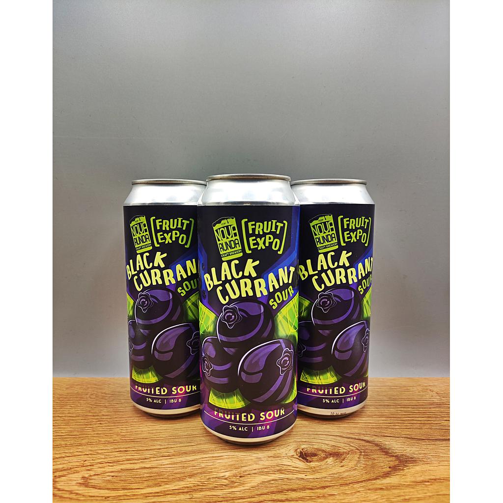 Nova Runda - FRUIT EXPO: BLACKCURRANT SOUR 500ml