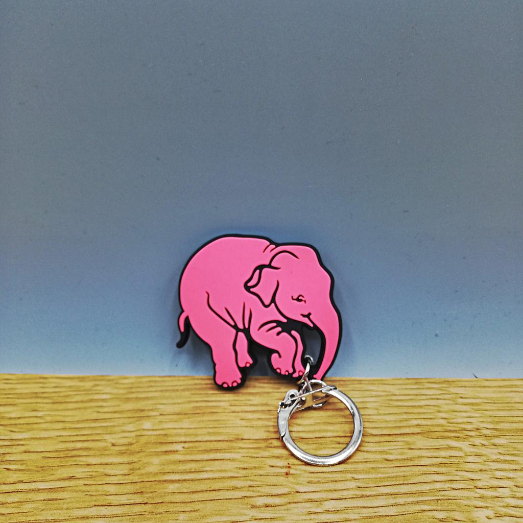 Keychain - DELIRIUM